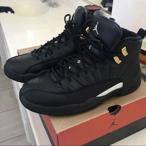 Air Jordan retro 12’s (masters)
